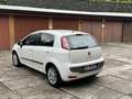 Fiat Punto Evo 5p 1.4 Emotion Gpl 77cv - thumbnail 4