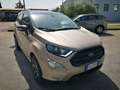 Ford EcoSport "IVA ESPOSTA" IN ARRIVO 1.0 ecoboost ST-Line 100cv - thumbnail 1