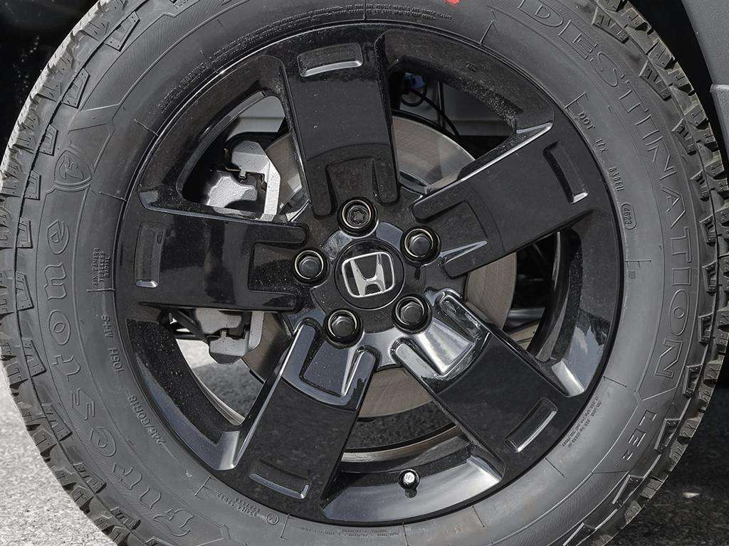 Image 7