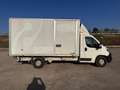 Citroen Jumper Jumper 35 BlueHDi 165 ++MOTORE NUOVO++ Bianco - thumbnail 3