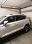 SEAT Ateca Ateca 1.6 tdi Business dsg Bianco - thumbnail 2