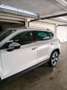 SEAT Ateca Ateca 1.6 tdi Business dsg Bianco - thumbnail 5