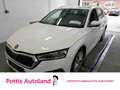 Skoda Octavia Combi 2.0 TDI STYLE AHK NAVI PDC SITZHZG Weiß - thumbnail 1