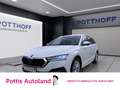 Skoda Octavia Combi 2.0 TDI STYLE AHK NAVI PDC SITZHZG Weiß - thumbnail 1