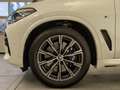 BMW X5 xDrive30d M Sportpaket Sitzbelüftung/AHK/LED Sitzb Blanco - thumbnail 3