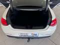 Mercedes-Benz CLS 350 d 4Matic Edition-1 AMG|WIDE|360°|BURMEST. Weiß - thumbnail 11