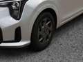 Kia Picanto 1.0 Vision +Automatik+Navi+R.Kam+Allwette Silber - thumbnail 13