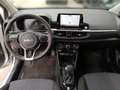 Kia Picanto 1.0 Vision +Automatik+Navi+R.Kam+Allwette Silber - thumbnail 9