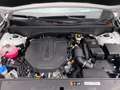 Kia Sorento 2.2D AWD DCT8 SPIRIT - Premium *NAVI*LEDER*20 Zoll Alb - thumbnail 10