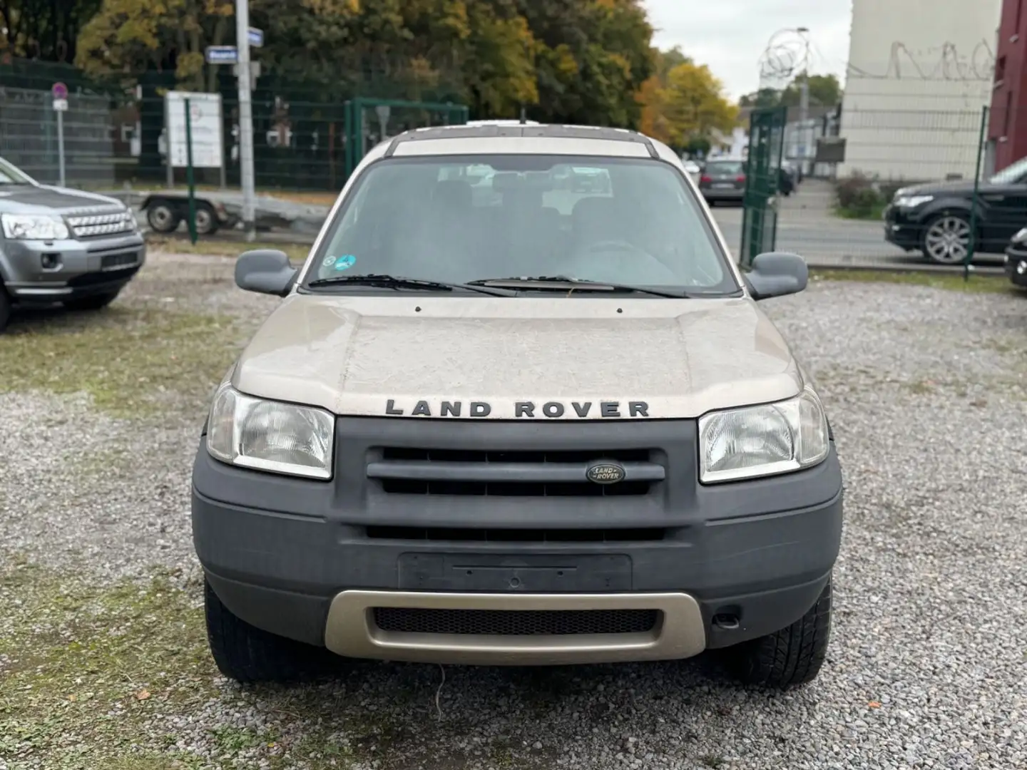 Land Rover Freelander Rock Td4 / 1 - Hand / Klima / HardTop Gold - 2