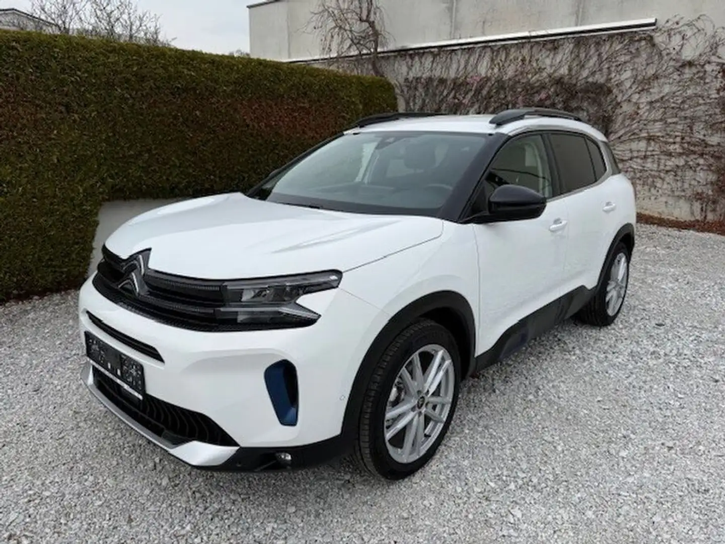Citroen C5 Aircross BlueHDI 130 S&S EAT8 Shine Weiß - 1
