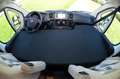Pössl P 700 Fiat 130 pk Euro 4 APK NAP, stalling mo Blanc - thumbnail 4