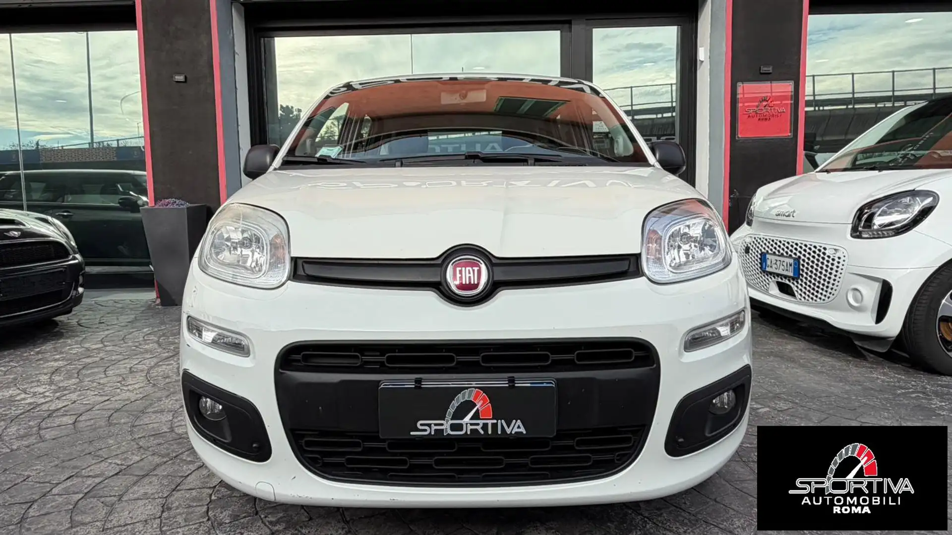 Fiat Panda RATA MENSILE 123,00 UNIPROPRIETARIO Panda 1.2 Easy Wit - 2