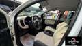 Fiat Panda RATA MENSILE 123,00 UNIPROPRIETARIO Panda 1.2 Easy Wit - thumbnail 6