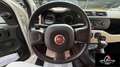 Fiat Panda RATA MENSILE 123,00 UNIPROPRIETARIO Panda 1.2 Easy Wit - thumbnail 7