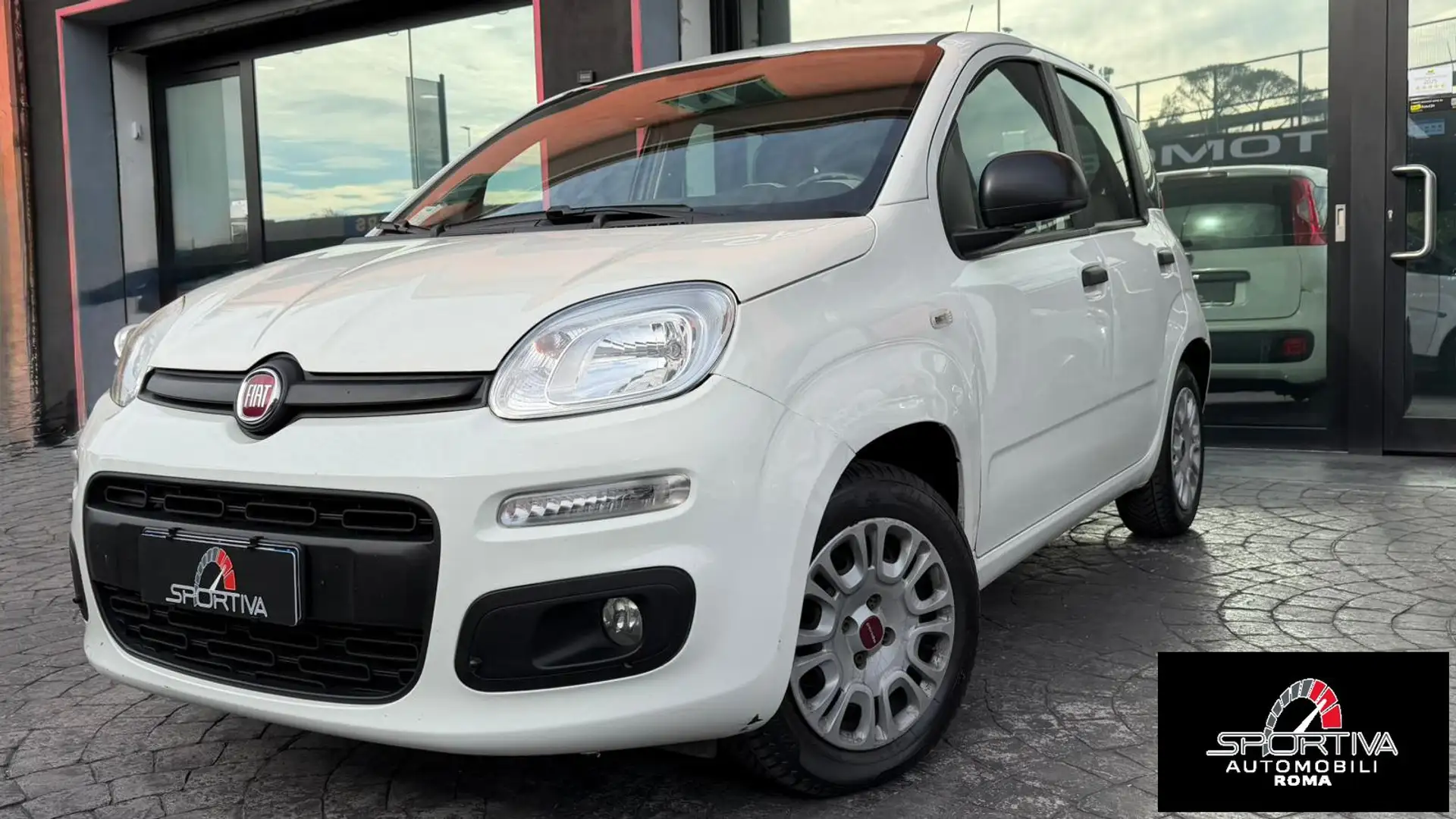Fiat Panda RATA MENSILE 123,00 UNIPROPRIETARIO Panda 1.2 Easy Wit - 1