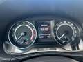 Skoda Fabia Fabia 1.0 TSI 110 ch BVM6 Monte-Carlo Vert - thumbnail 12