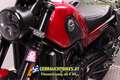Benelli Leoncino 500 ABS, mit Garantie, Teilzahlung möglich! Kırmızı - thumbnail 4