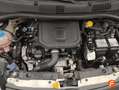 Fiat Panda Cross 1.0 Hybrid 51kw (70CV) Blanco - thumbnail 19