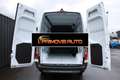 Mercedes-Benz Sprinter F32/35 317 CDI RWD TN Furgone Alb - thumbnail 9