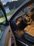 Audi A4 Avant 2.0 TDI DPF clean diesel multitronic S line - thumbnail 14