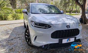 2.0 hev Advance