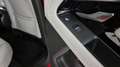 Land Rover Range Rover Evoque 2.0D I4 163 CV AWD Auto SE N1 Autocarro Rosso - thumbnail 10