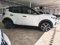 Citroen C3 C3 IV 2024 1.2 puretech turbo  Plus 100cv Bianco - thumbnail 4