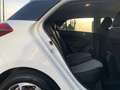 Hyundai i20 1.1 CRDi Blackline / Clim Auto / Cruise / PDC Weiß - thumbnail 13