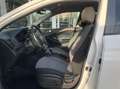 Hyundai i20 1.1 CRDi Blackline / Clim Auto / Cruise / PDC Weiß - thumbnail 10