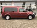 Volkswagen Caddy Maxi 1.2 TSI Roncalli 7-Si org 31 tKM Rojo - thumbnail 4