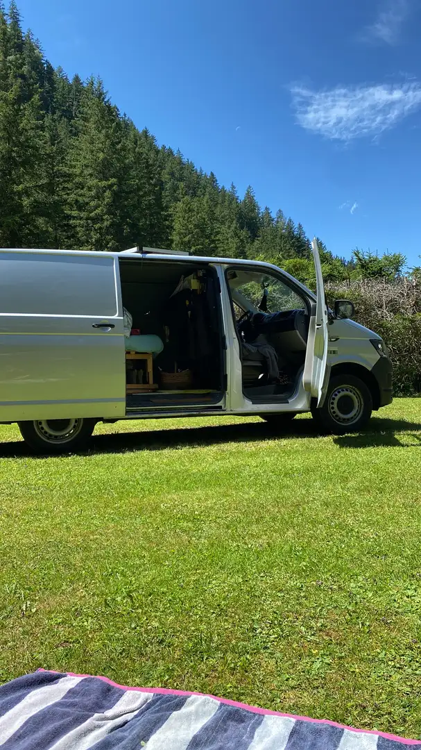 Volkswagen T6 Transporter Grau - 2