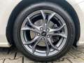 Ford Focus Turnier ST-Line Nav/HuD/LED/Kamera/Assiste Weiß - thumbnail 19