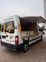Renault Master Master Humer SM 290 Imbisswagen ! Weiß - thumbnail 1
