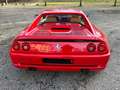 Ferrari F355 Berlinetta TOPZUSTAND Rot - thumbnail 10