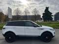 Land Rover Range Rover Evoque Range Rover Evoque 2.0 TD4 150 CV 5p. Bianco - thumbnail 4