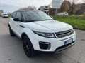Land Rover Range Rover Evoque Range Rover Evoque 2.0 TD4 150 CV 5p. Bianco - thumbnail 2