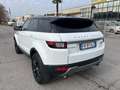Land Rover Range Rover Evoque Range Rover Evoque 2.0 TD4 150 CV 5p. Bianco - thumbnail 8