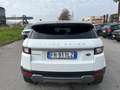 Land Rover Range Rover Evoque Range Rover Evoque 2.0 TD4 150 CV 5p. Bianco - thumbnail 6