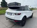 Land Rover Range Rover Evoque Range Rover Evoque 2.0 TD4 150 CV 5p. Bianco - thumbnail 7