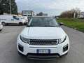 Land Rover Range Rover Evoque Range Rover Evoque 2.0 TD4 150 CV 5p. Bianco - thumbnail 5