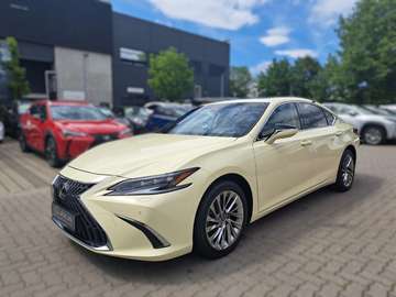 h Luxury TAXI Paket + Folierung