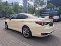 Lexus ES 300 h Luxury TAXI Paket + Folierung Schwarz - thumbnail 4