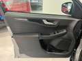 Ford Kuga 2.5 Plug In Hybrid 225 CV CVT 2WD ST-Line Km Zero Grau - thumbnail 18