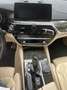BMW 530 d xDrive Luxury Line Pano #Im Kundenauftrag# Bleu - thumbnail 13