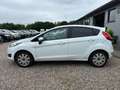 Ford Fiesta Trend 1.0 Klima Radio Blanco - thumbnail 9