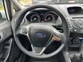 Ford Fiesta Trend 1.0 Klima Radio Blanco - thumbnail 17