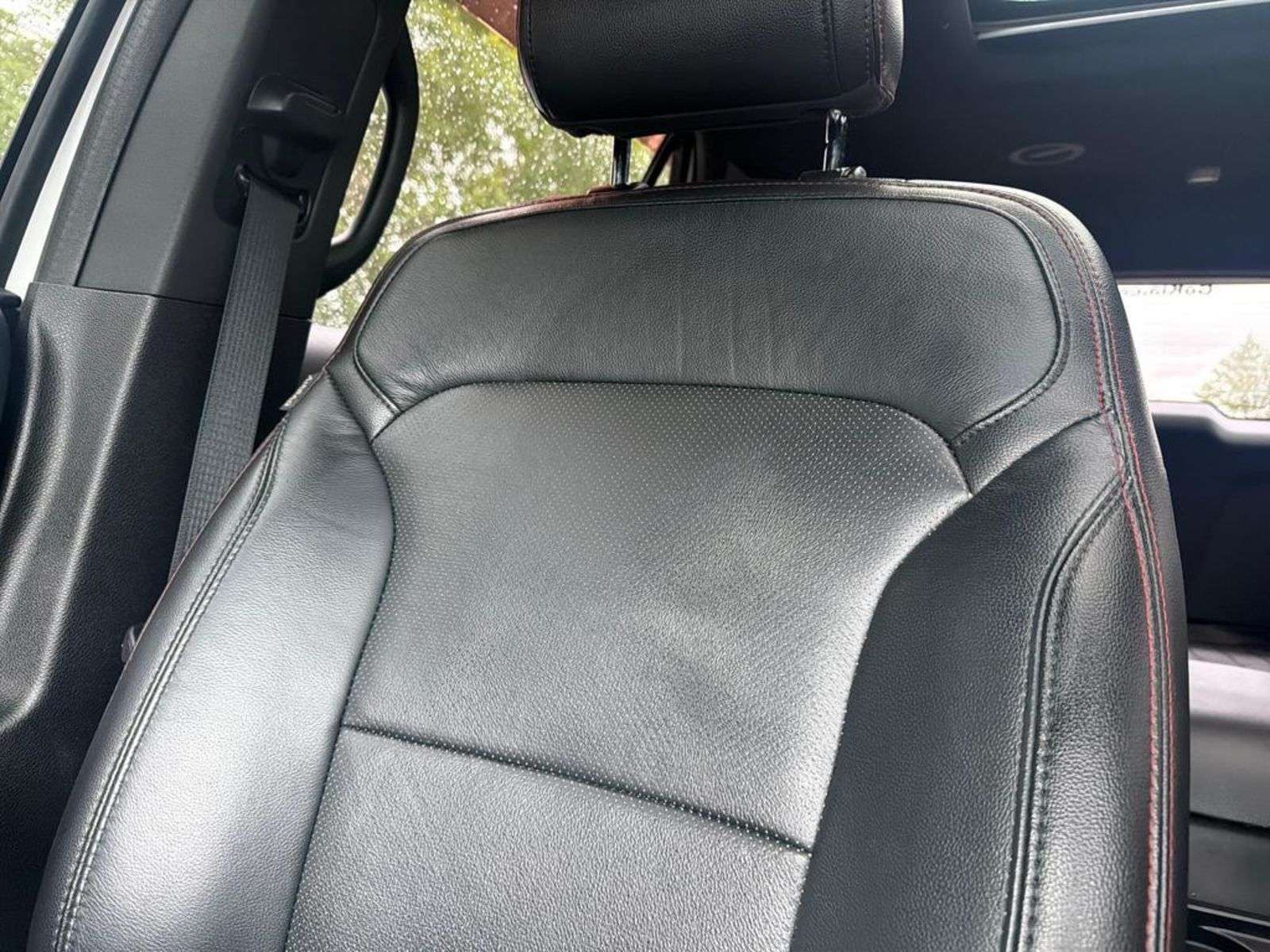 Image 19