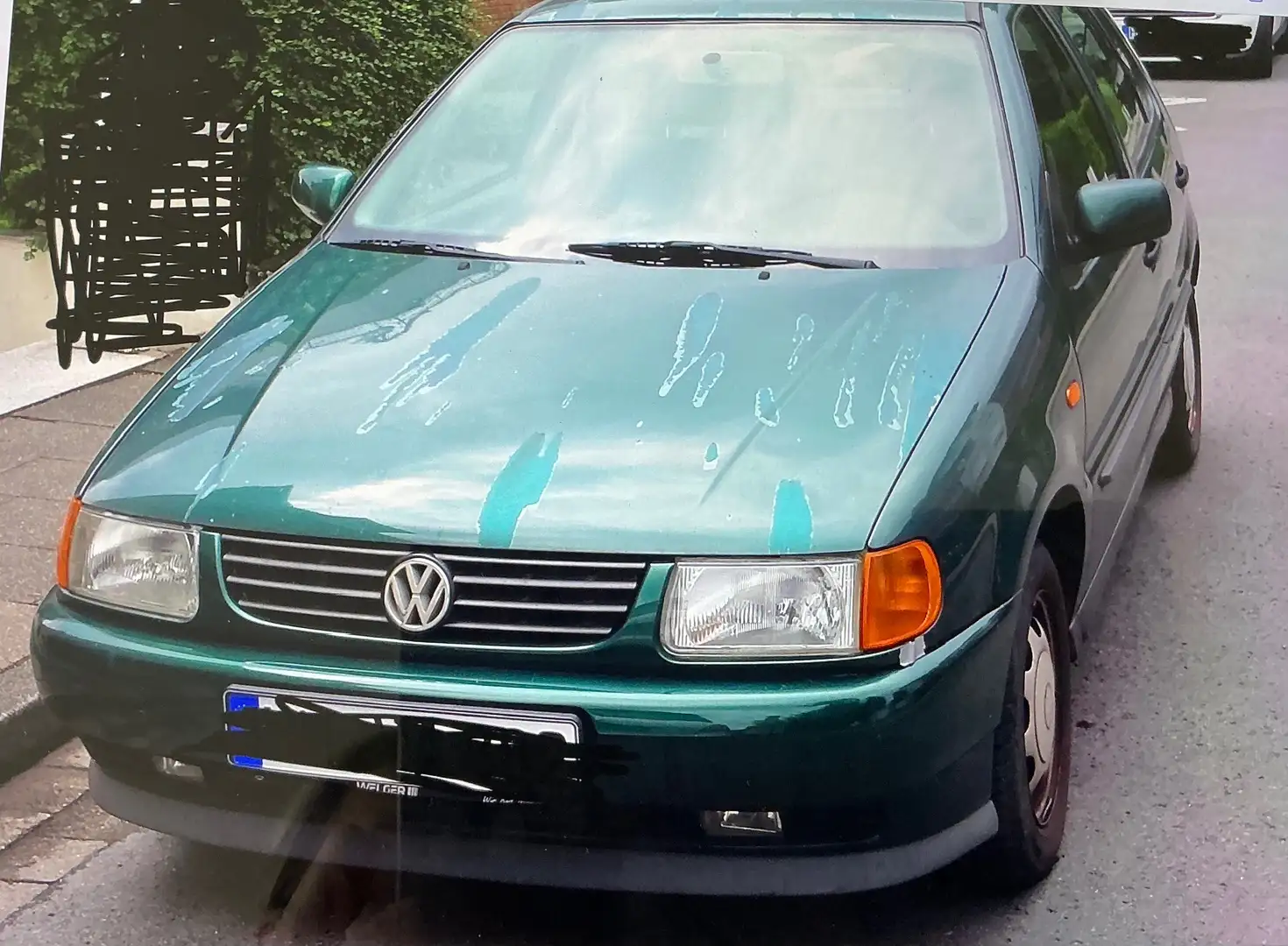 Volkswagen Polo Polo 60 Servo Grün - 1