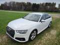 Audi A4 40 TDI sport Weiß - thumbnail 5